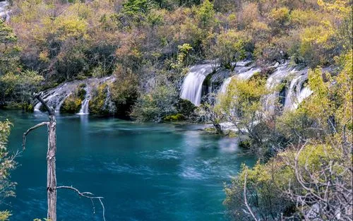 智能高端